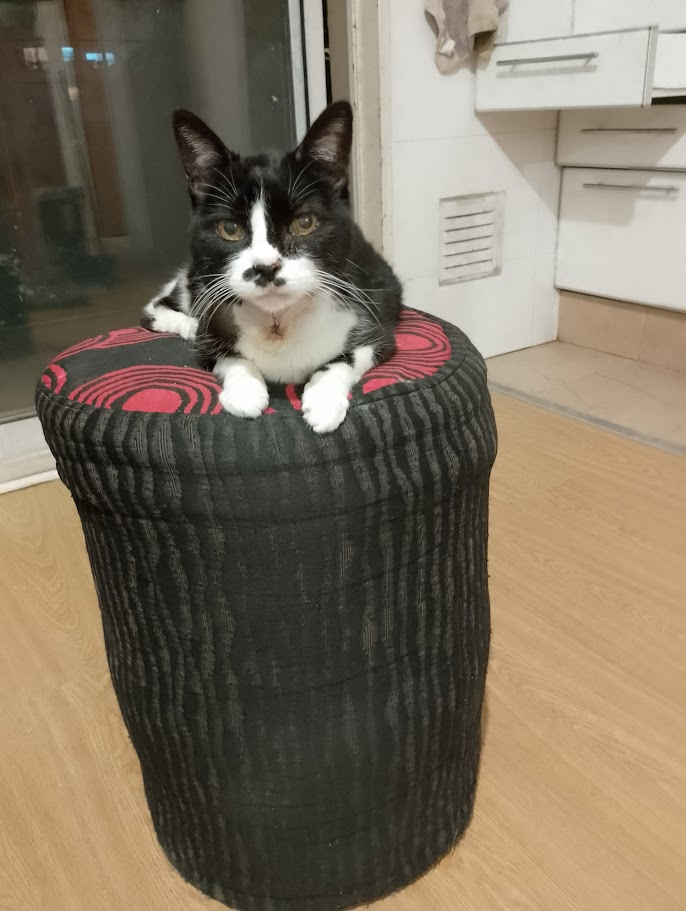 Damas Gratis - 30 Años